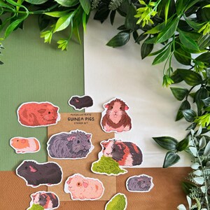 Meerschweinchen Sticker Pack - Schweinchen Cottagecore Ästhetische Tier Aufkleber für Journaling - Kawaii Planer Bullet Journal Tagebuch Dekor