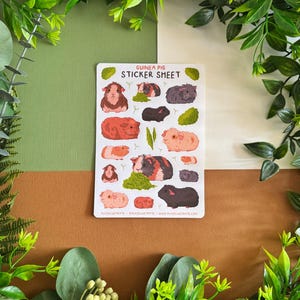 Guinea Pig Sticker Sheet - Kawaii Piggy Animal Pet Stickers Illustration - Bujo Scrapbook Matte - Bullet Journal Diary Decor Cottagecore image 2