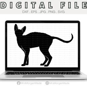 Cornish Rex katt Svg Png Dxf Eps Jpg, Omedelbar Digital Filnedladdning, Clipart Ritning Vektorgrafik, Kommersiellt Bruk