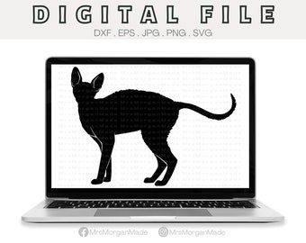 Cornish Rex Cat Svg Png Dxf Eps Jpg, Instant Digital File Download, Clipart Drawing Vector Graphic, Commercial Use