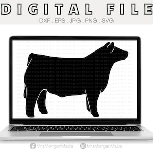 Show Steer Svg Png Dxf Eps Jpg, Instant Digital File Download, Clipart Drawing Vector Graphic, Commercial Use