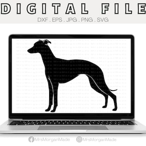 Whippet Hund Dxf Eps Jpg Png Svg, Sofort Digital File Download, Clipart Zeichnung Vektor Grafik, kommerzielle Nutzung