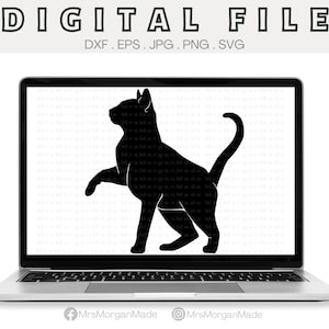 May include: Black silhouette of a cat with its tail curled up, standing on its hind legs with one paw raised. The cat is on a white background.