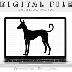 Ibizan Hound Dog Svg Png Dxf Eps Jpg, Instant Digital File Download, Clipart Drawing Vector Graphic, Commercial Use