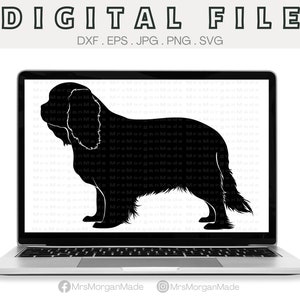 Cavalier King Charles Spaniel Dog Svg Png Dxf Eps Jpg, Instant Digital File Download, Clipart Drawing Vector Graphic, Commercial Use