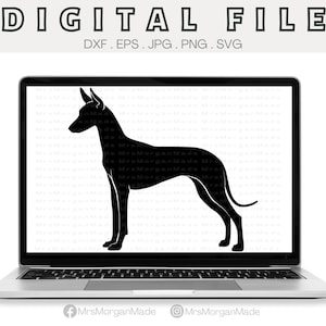 Pharaoh Hound Dog Svg Png Dxf Eps Jpg, Instant Digital File Download, Clipart Drawing Vector Graphic, Commercial Use
