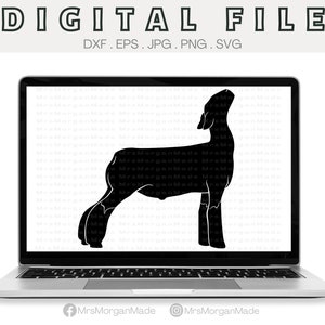 Show Lamb Market Sheep Svg Png Dxf Eps Jpg, Instant Digital File Download, Clipart Drawing Vector Graphic, Commercial Use