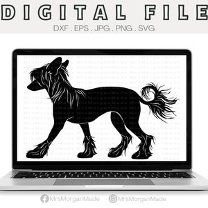 Chinese Crested Dog Svg Png Dxf Eps Jpg, Instant Digital File Download, Clipart Drawing Vector Graphic, Commercial Use