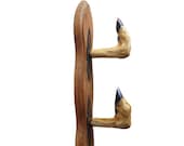 VINTAGE French Deer Hoof , Deer Hook , Hat Rack , Coat Hook taxidermy , Bistro Rack , Home / Room Decor , Wooden Rack , French Decor