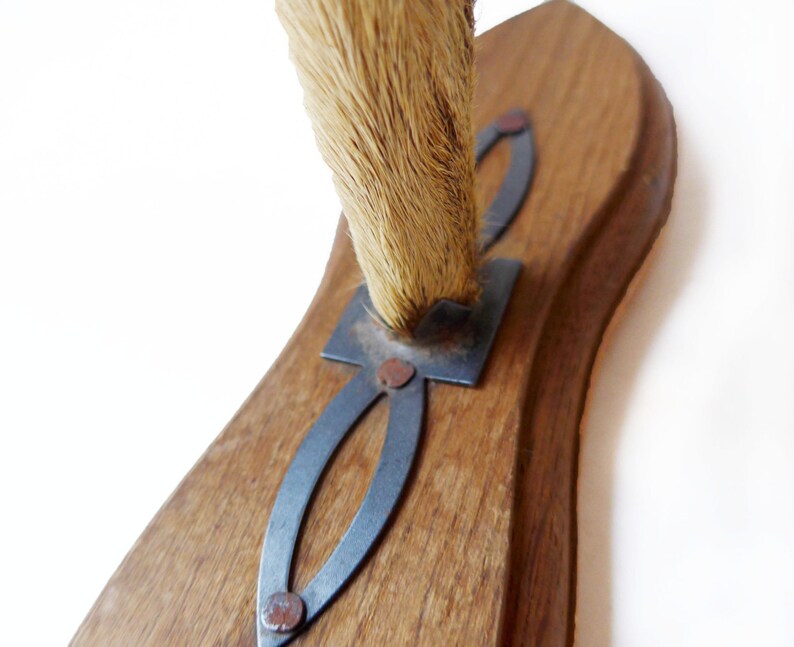 FRENCH VINTAGE French Deer Hoof Deer Hook Hat Rack Coat Etsy