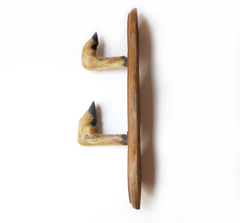 FRENCH VINTAGE French Deer Hoof Deer Hook Hat Rack Coat Etsy