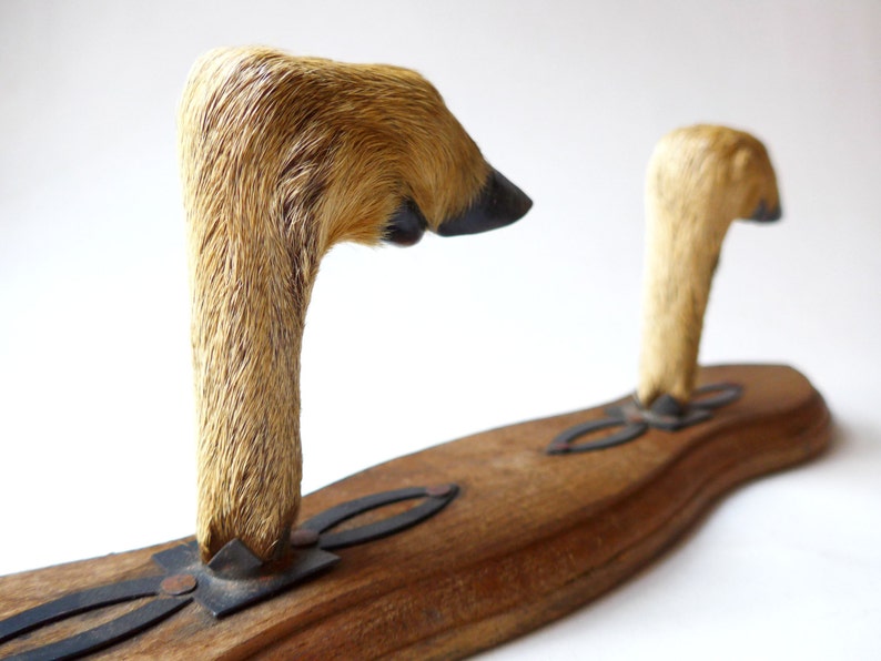 FRENCH VINTAGE French Deer Hoof Deer Hook Hat Rack Coat Etsy