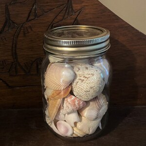 May include: A clear glass mason jar with a metallic screw-top lid filled with a variety of seashells. The collection includes diverse shapes, sizes, and textures in shades of white, cream, tan, and soft pink, visible through the transparent glass.