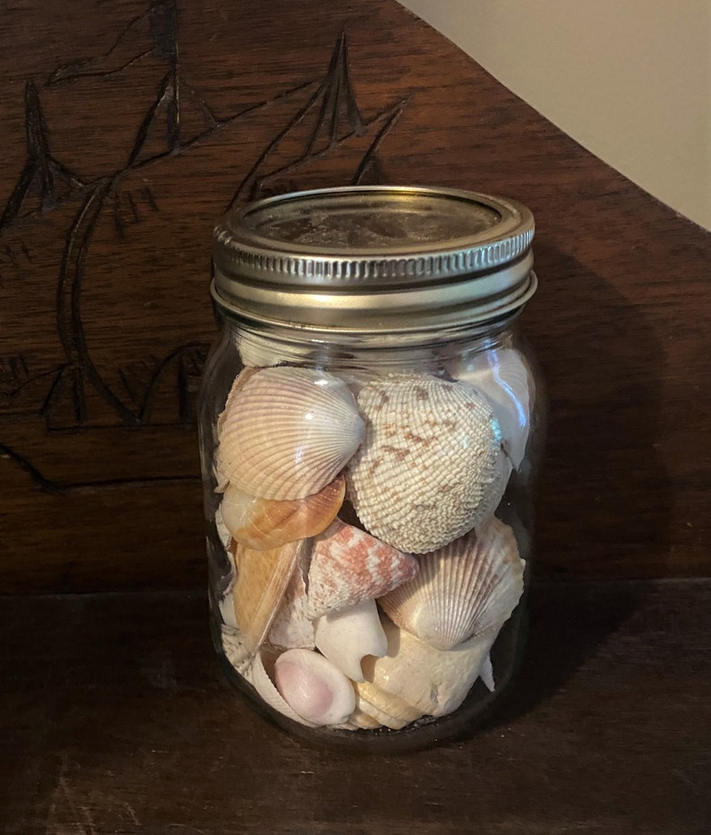 May include: A clear glass mason jar with a metallic screw-top lid filled with a variety of seashells. The collection includes diverse shapes, sizes, and textures in shades of white, cream, tan, and soft pink, visible through the transparent glass.