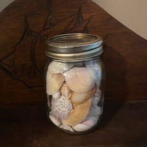 May include: A clear glass mason jar with a metallic screw-top lid filled with a collection of various seashells. The shells exhibit diverse shapes, textures, and natural color variations including shades of white, tan, beige, and light brown.