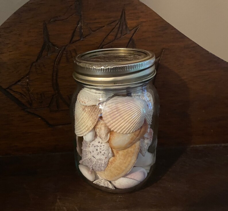 May include: A clear glass mason jar with a metallic screw-top lid filled with a collection of various seashells. The shells exhibit diverse shapes, textures, and natural color variations including shades of white, tan, beige, and light brown.