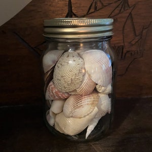 May include: A clear glass mason jar with a metallic screw-top lid, filled with a collection of various seashells in shades of white, cream, tan, and soft pink. The shells exhibit diverse textures, including ribbed surfaces and smooth, rounded forms.
