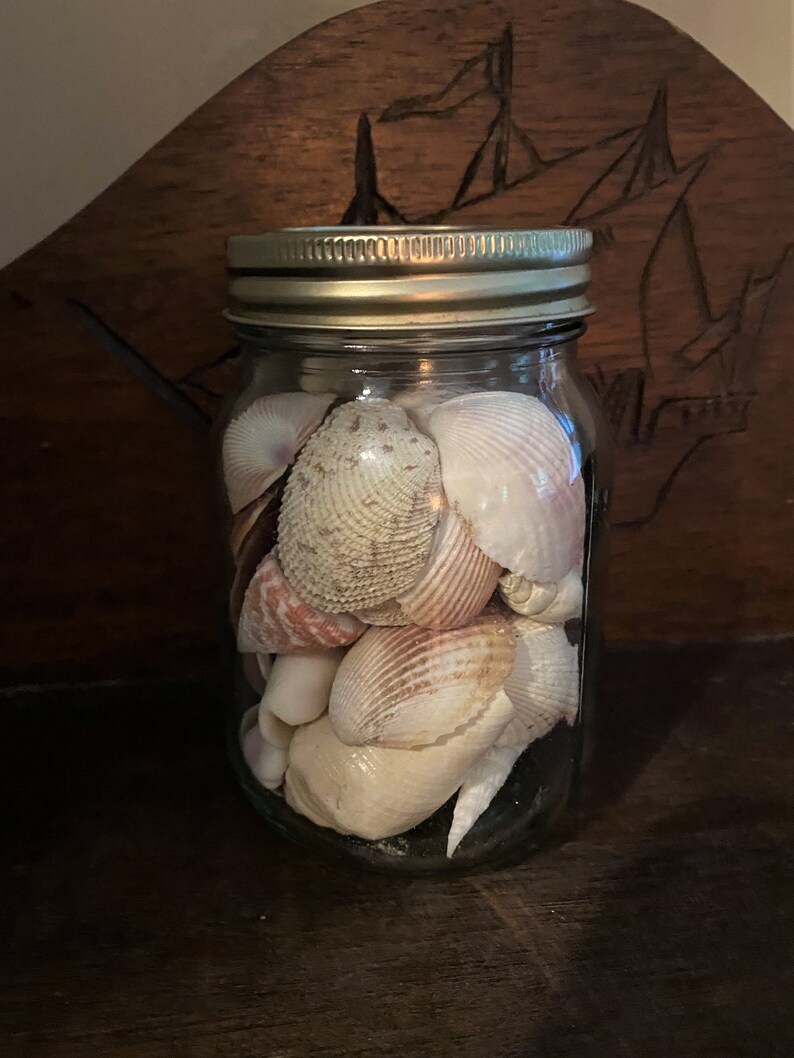 May include: A clear glass mason jar with a metallic screw-top lid, filled with a collection of various seashells in shades of white, cream, tan, and soft pink. The shells exhibit diverse textures, including ribbed surfaces and smooth, rounded forms.