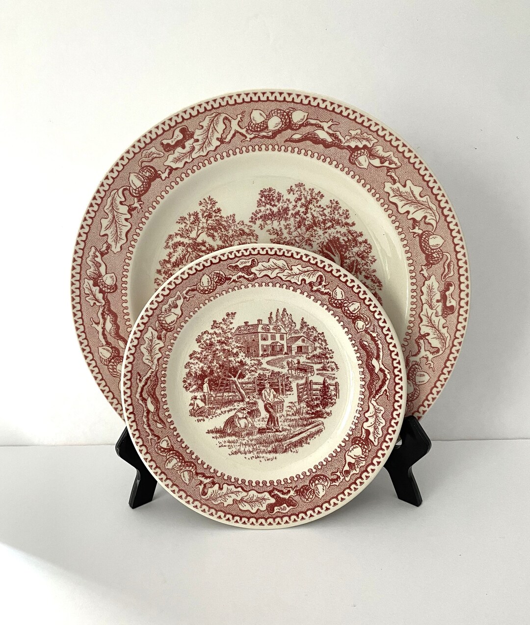 Vintage Royal Ironstone Plates Memory Lane Pink Transferware Etsy