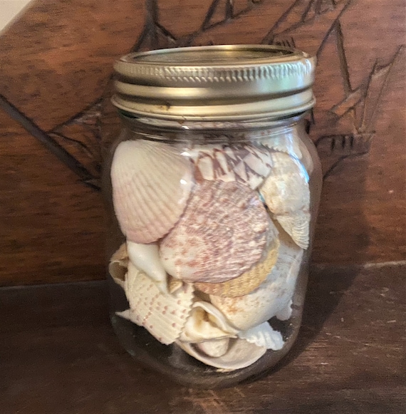 Vintage Canning Jar Fill withed Sea Shells Costal Decor Beach House Instant Sea Shell Collection  Cottage Decor