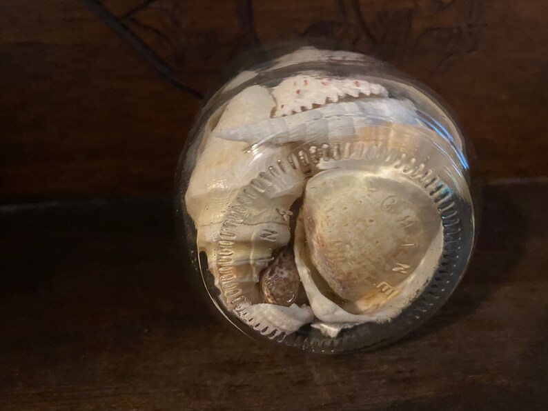 May include: A clear glass jar filled with a collection of various seashells in shades of white, cream, and tan. The bottom of the glass jar features embossed text that reads "GENUINE" and "MADE IN ITALY" around the circular base edge.