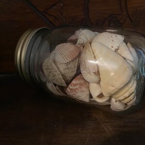 May include: A clear glass mason jar filled with a collection of various seashells in shades of cream, tan, and light brown. The jar features a metallic screw-top lid and is positioned horizontally, showcasing a variety of spiral and bivalve shells.