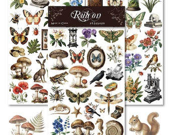 Stamperia - Rub-on for Scrapbooks, Albums, Cards, Bullet Journals and More, Easily Transfer Images onto Paper and Other Surfaces, Perfect for Crafts and Gifting (Herbarium Silvae, Forest
