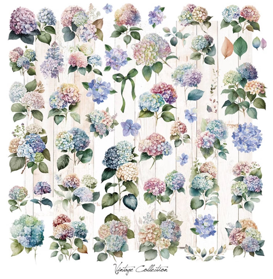 50pcs Hydrangeas Sticker --parchment Texture Sticker--filofax Stickers ...