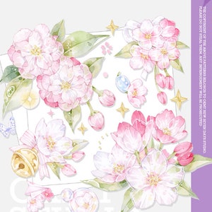 Cinta PET ligera de cáscara de cereza, cinta PET de diario basura, cinta de flores brillantes--60 mm x 5 M