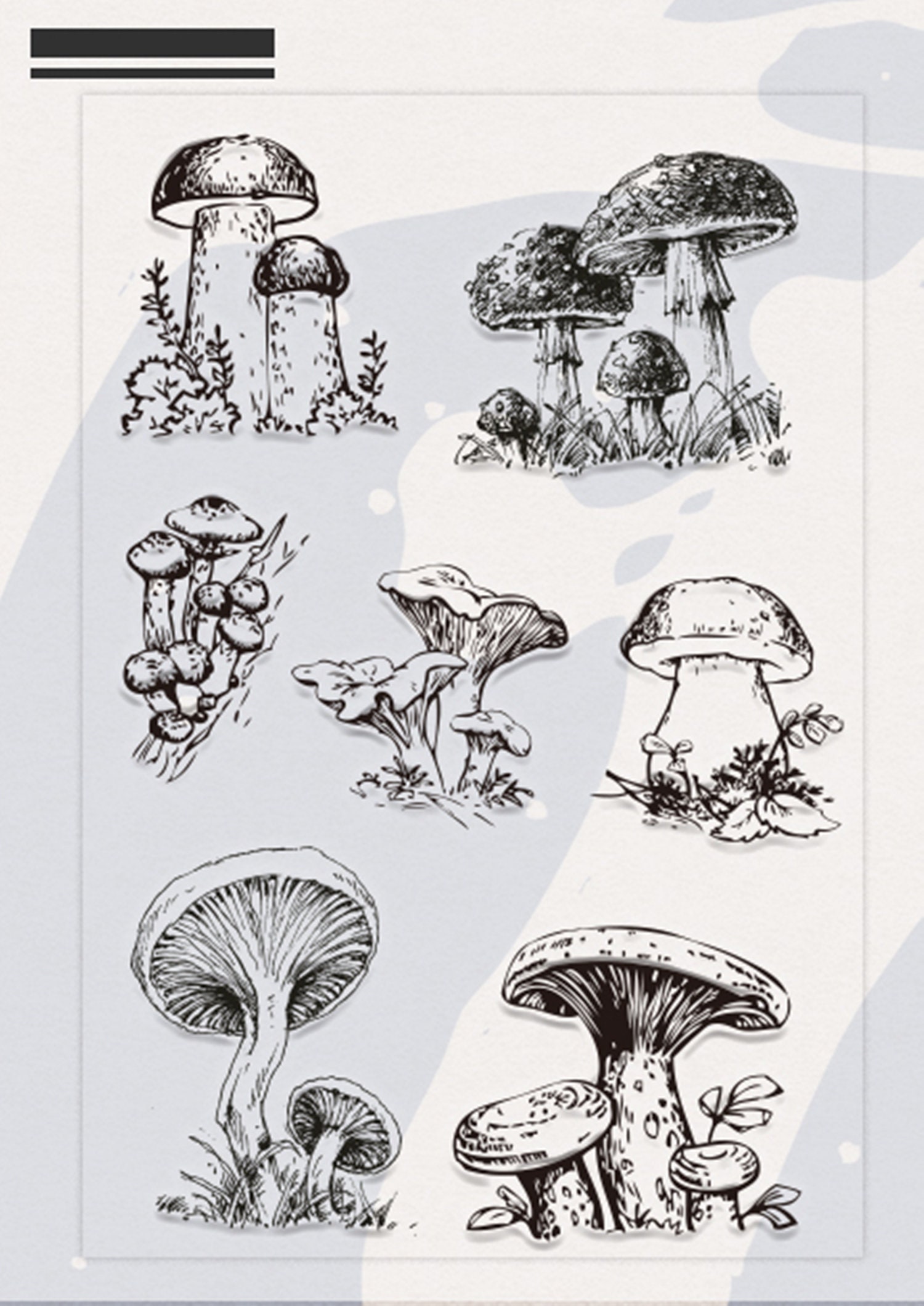 Mushroom Clear Stamps Set No.21 11 x 16cm stamp | Etsy