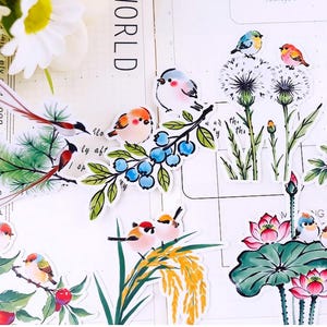 17 pegatinas para álbumes de recortes, pegatinas Filofax, pegatinas para planificadores, pájaros gordos adorables
