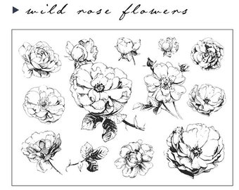 Wild Rose Flowers Clear Stamps Set --Bullet Journal Stamp -- 11 x 16cm stamp