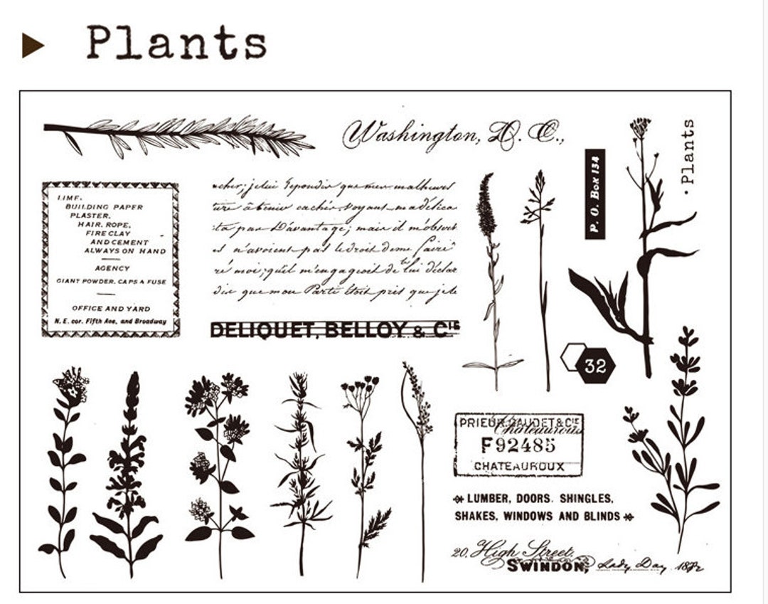 Plants Clear Stamps Set No.20 --bullet Journal Stamp-- 11 X 16cm Stamp ...