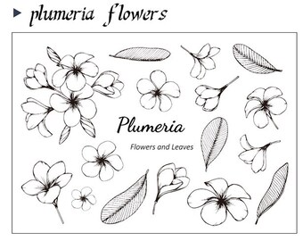 Plumeria Flowers  Clear Stamps Set --Bullet Journal Stamp -- 11 x 16cm stamp