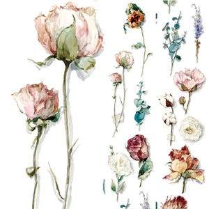 Flowers PET Tape with Release Paper-- Junk Journal Tape -Deco tape--35mm x3M