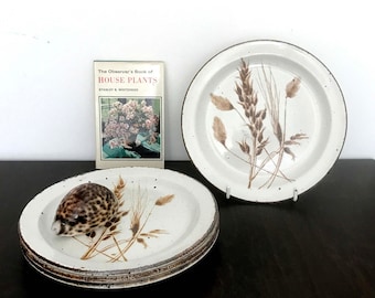 Set of 4 Vintage Midwinter Stonehenge Wild Oats Large Side Plates