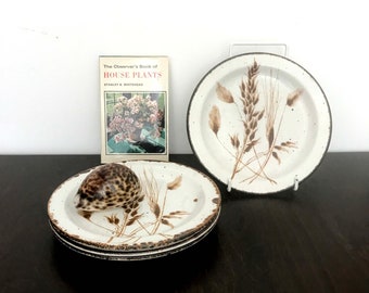 Set of 4 Vintage Midwinter Stonehenge Wild Oats Side Plates