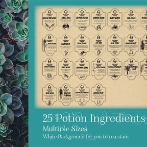 25 Potion Ingredient Printable Labels for Craftand Halloween - Etsy