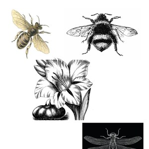 Instant download high resolution digital download bees
