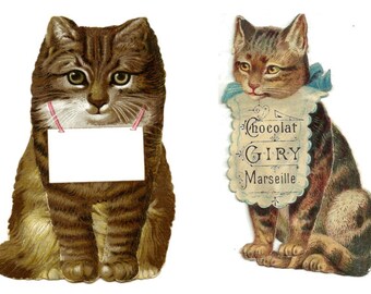 Printable CATS Instant download high resolution digital download