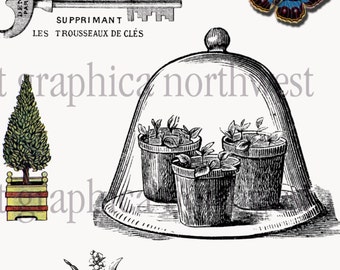 Instant download high resolution digital download In the Garden Project 8 TERRARIUM