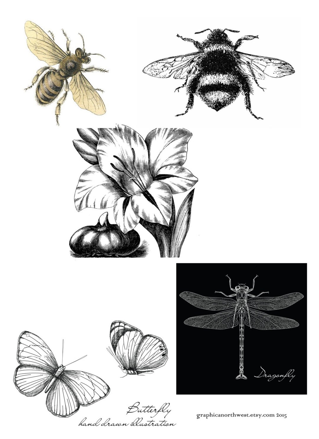 Instant Download High Resolution Digital Download Bees - Etsy