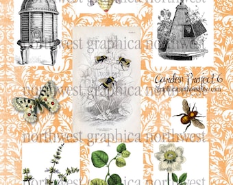 Printable In the Garden Project 6 BEES Instant download high resolution digital download