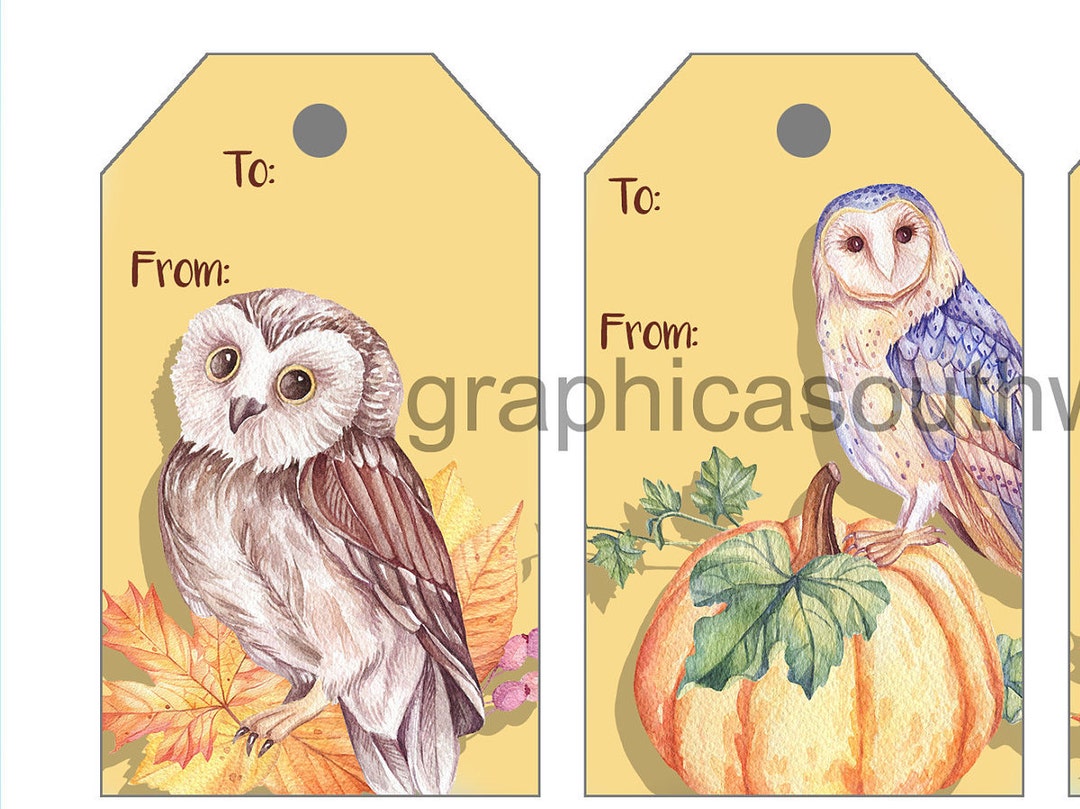 Digital File for Instant Download PRINTABLE OWL Tags Color and White ...