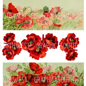 POPPIES 3 feuilles imprimables Téléchargement instantané fichier numérique haute résolution