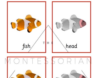 Fish Three Part Cards for Educational Matching PDF Digital File