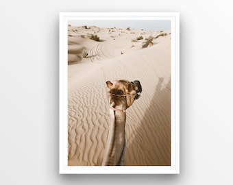 Desert Camel Art Print | Digital Printable Download | Boho Wall Art Printable Poster | Dubai Desert Photography | Desert Animal Wall Art
