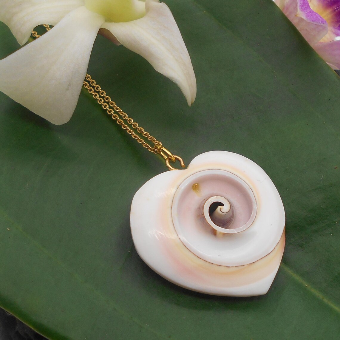 Shell Necklace Heart Shaped Shell Necklace Beach Jewelry Etsy