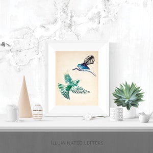 Tui and Fantail