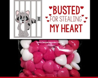 Valentine - Busted For Stealing My Heart - Bag Topper - Treat Bag Topper - Valentine's Day Candy